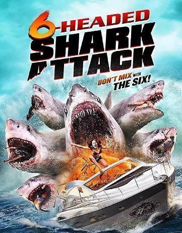 鲨鱼运营爆料怎么做视频,揭秘视频制作背后的技巧与策略  第1张