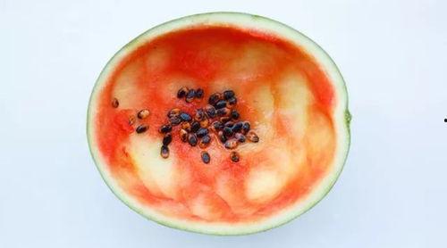 网红勺子爆款吃瓜,揭秘网络红人的爆红之路  第2张